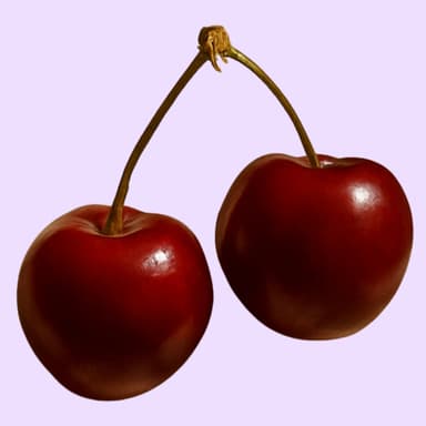 Two cherries on a stem.